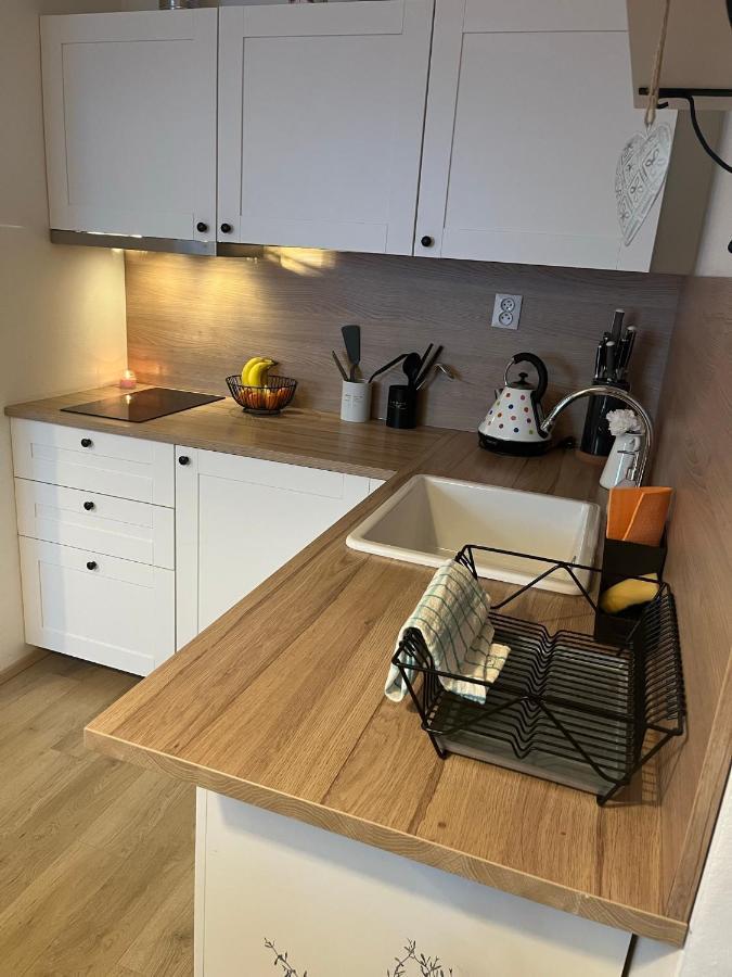 Utulny Apartman Na Dolni Morave Dolní Morava Екстериор снимка